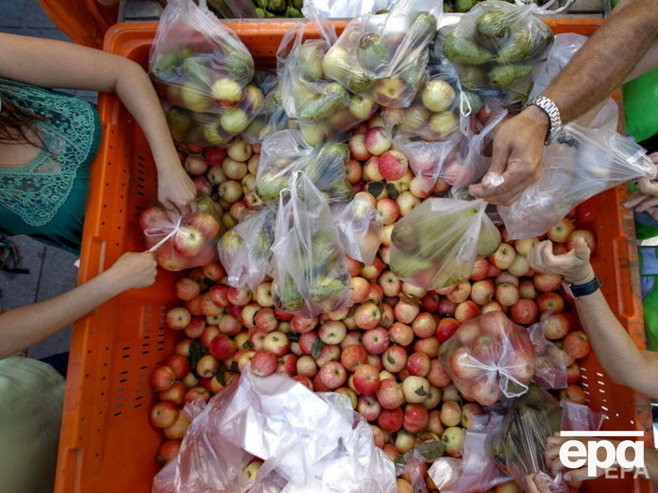 Продуктовые антисанкции в РФ продлены до 31 декабря 2019 года