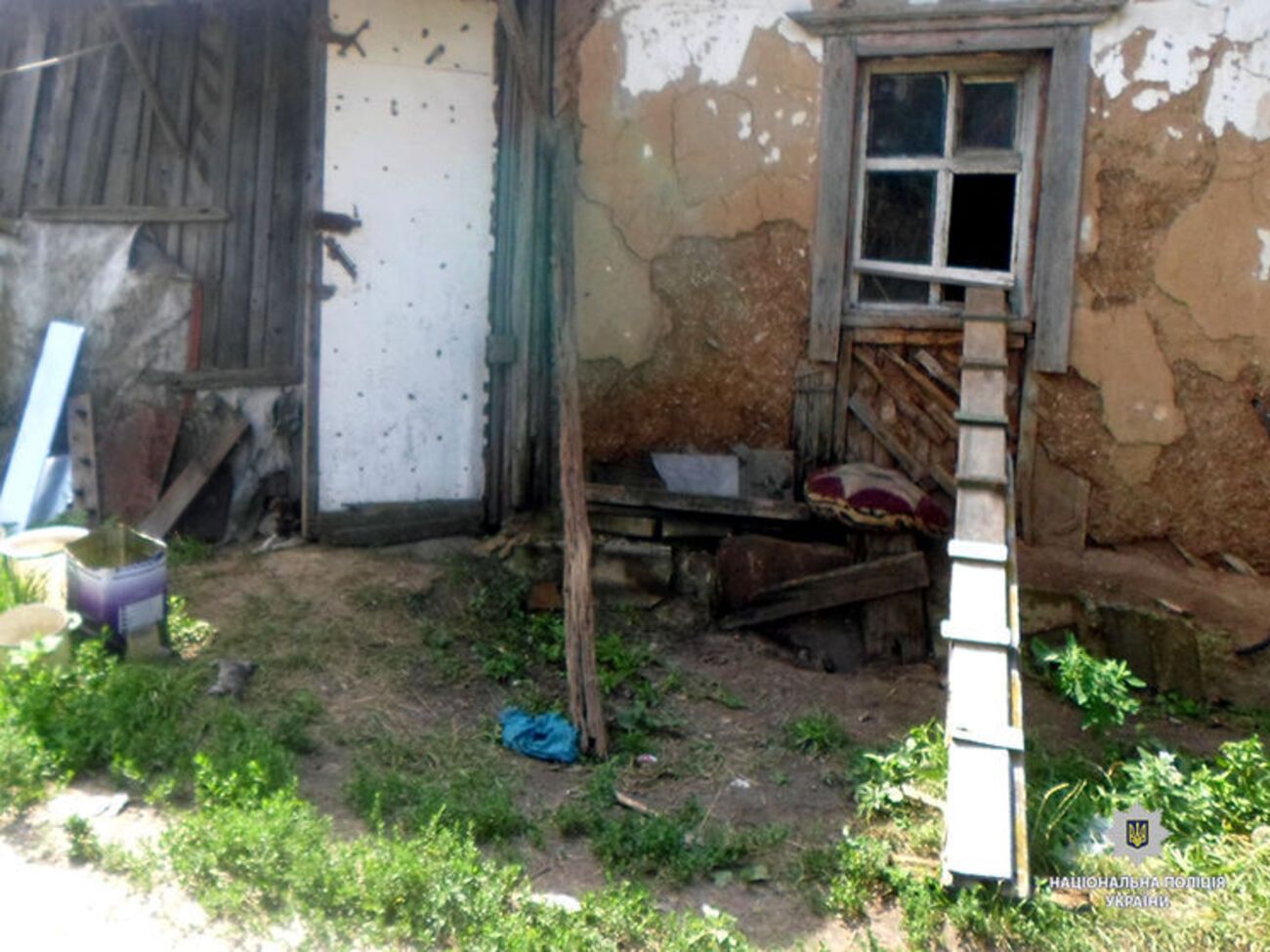 Жінка збирала та тримала кішок і кошенят у старому будинку