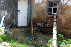 Жінка збирала та тримала кішок і кошенят у старому будинку
