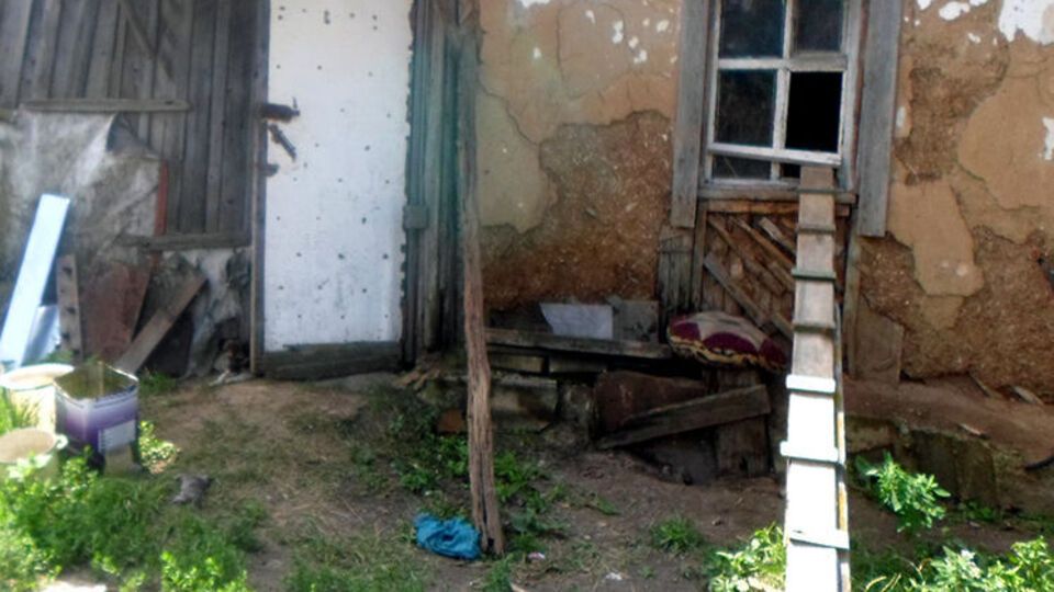 Жінка збирала та тримала кішок і кошенят у старому будинку