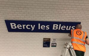 Французи подякували "синім" за перемогу