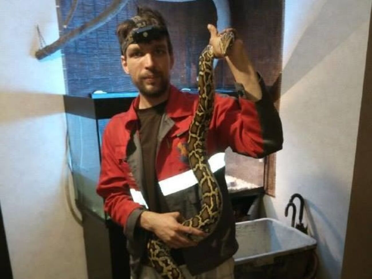 Питона отправили к&nbsp;частному специалисту на временное содержание