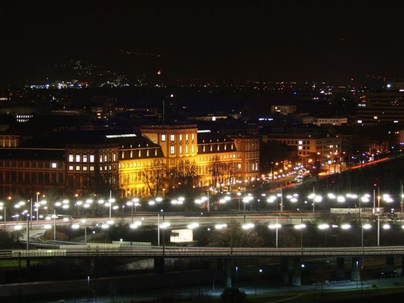 В Мангейме выбирают ночного мэра