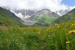 Туристов нашли, но пока не могут до них добраться