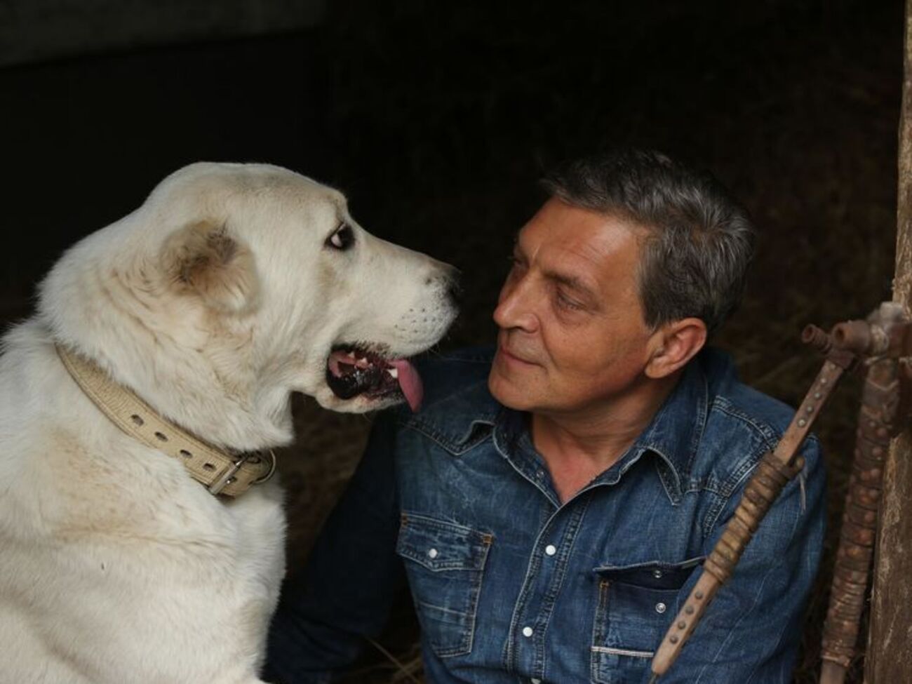 Невзоров:&nbsp;Именно в вытрезвителе закончится "ДНР"