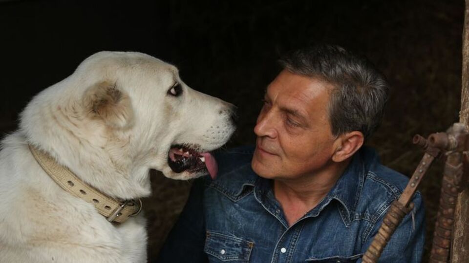 Невзоров: Именно в вытрезвителе закончится "ДНР"