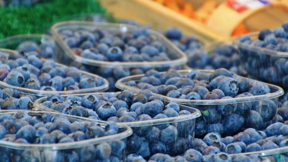 Лохину необхідно збирати чистими руками