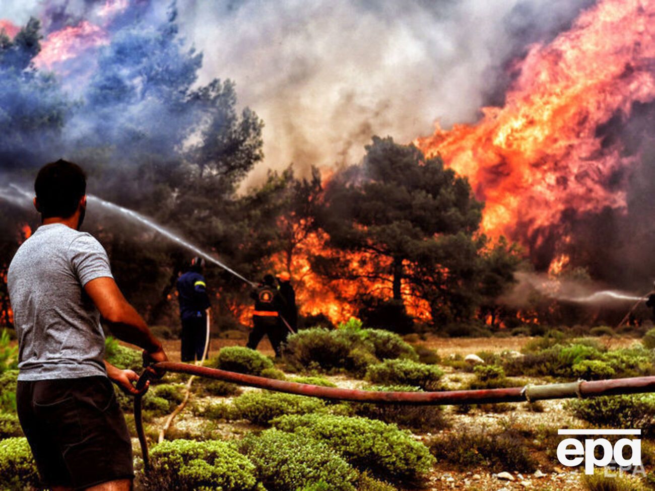 Масштабні лісові пожежі в Греції почалися 23 липня