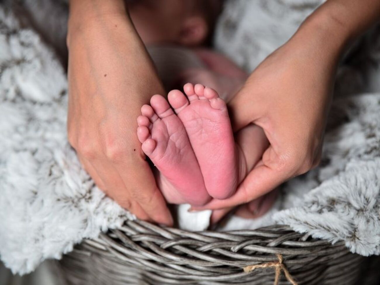 У 2017 році на півострові народилося 20 849 дітей