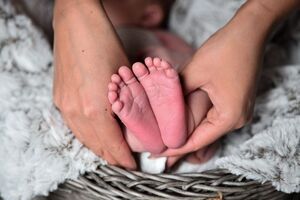 У 2017 році на півострові народилося 20 849 дітей