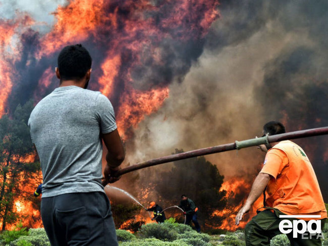 Масштабні лісові пожежі в Греції почалися 23 липня