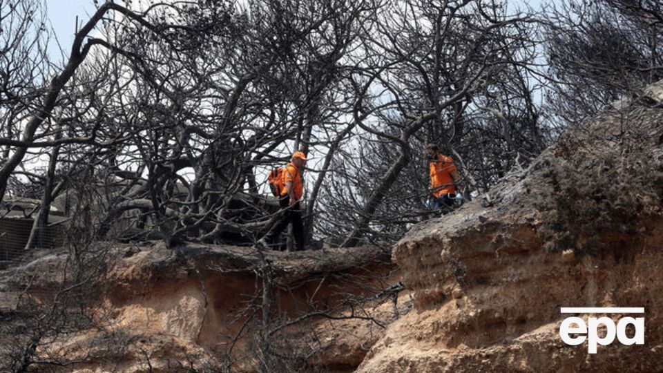 Спасатели в Греции продолжают искать пропавших без вести из-за лесных пожаров. Фоторепортаж