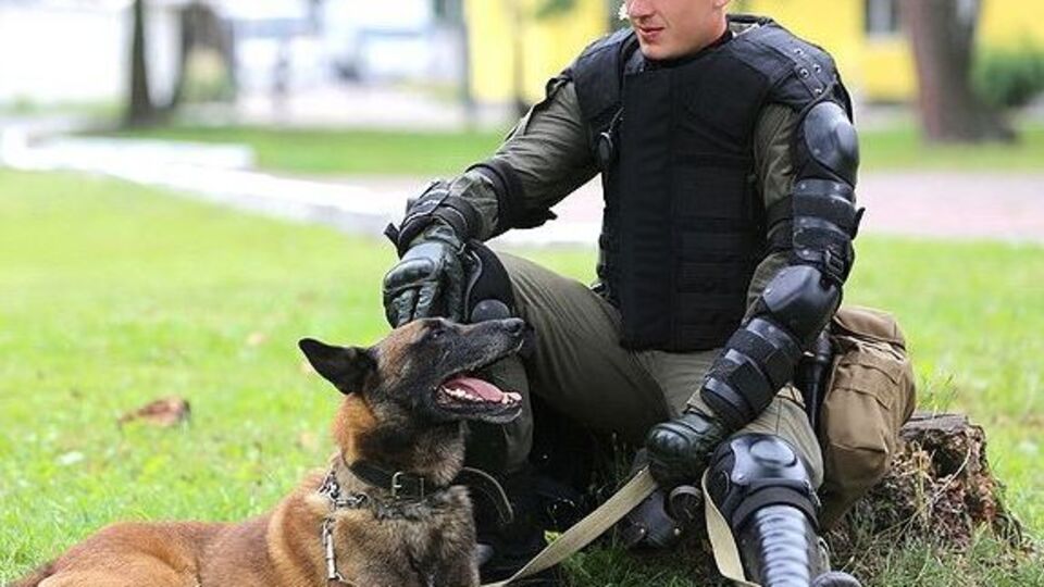 Взрывчатки правоохранители не нашли