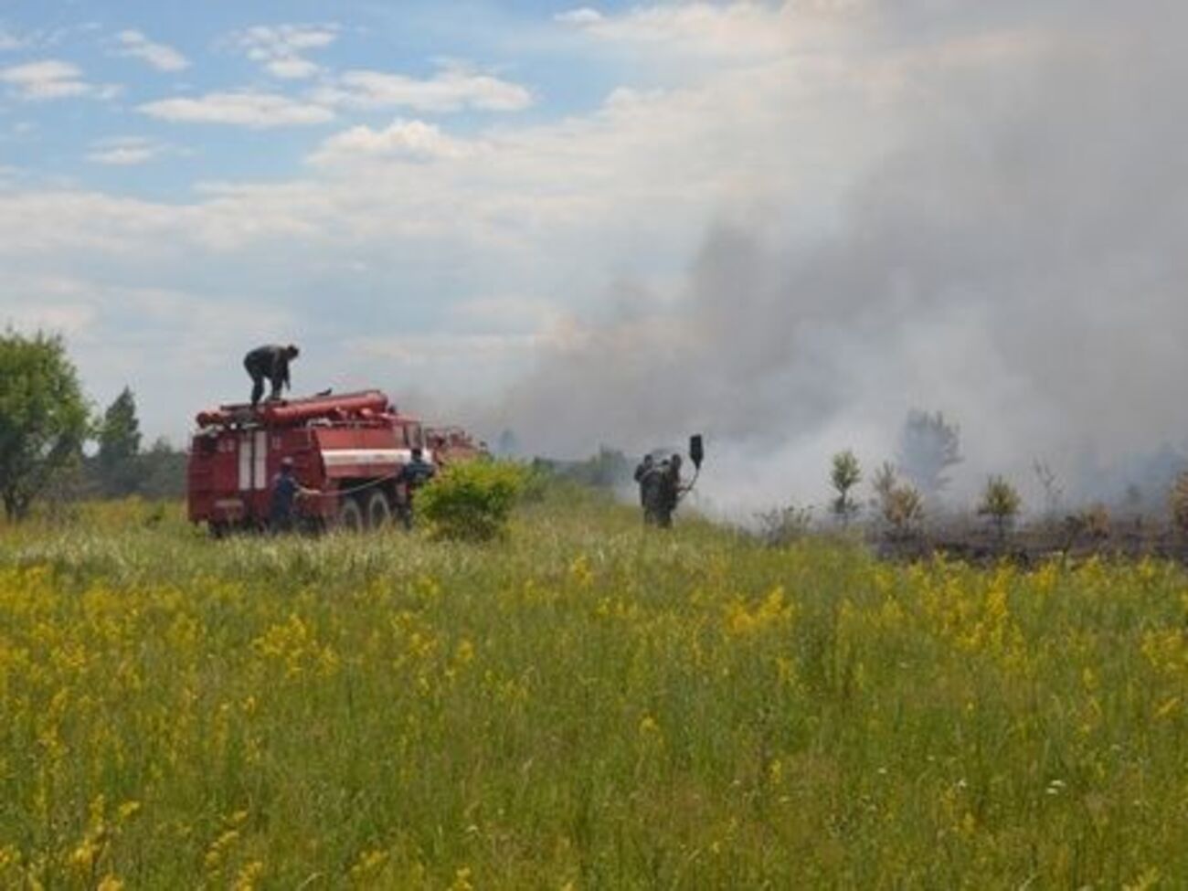 ДСНС: У низці областей України утримається надзвичайна (5-го класу) пожежна небезпека