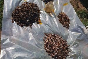 Поліція відкрила кримінальне провадження за ч. 1 ст. 263 КК України