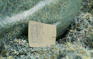 К мешкам прикреплены бирки с печатью НБУ