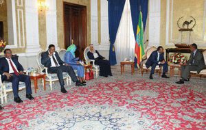 Ефіопія та Еритрея завершили переговори про мир