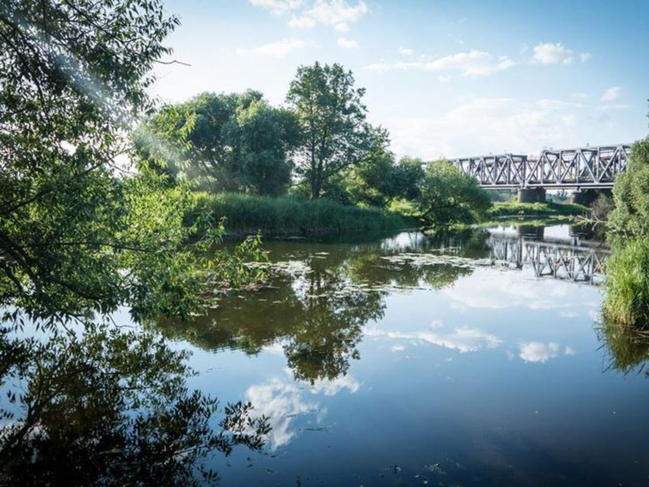 Данные 400 пунктов контроля качества речной воды учтены при создании карты