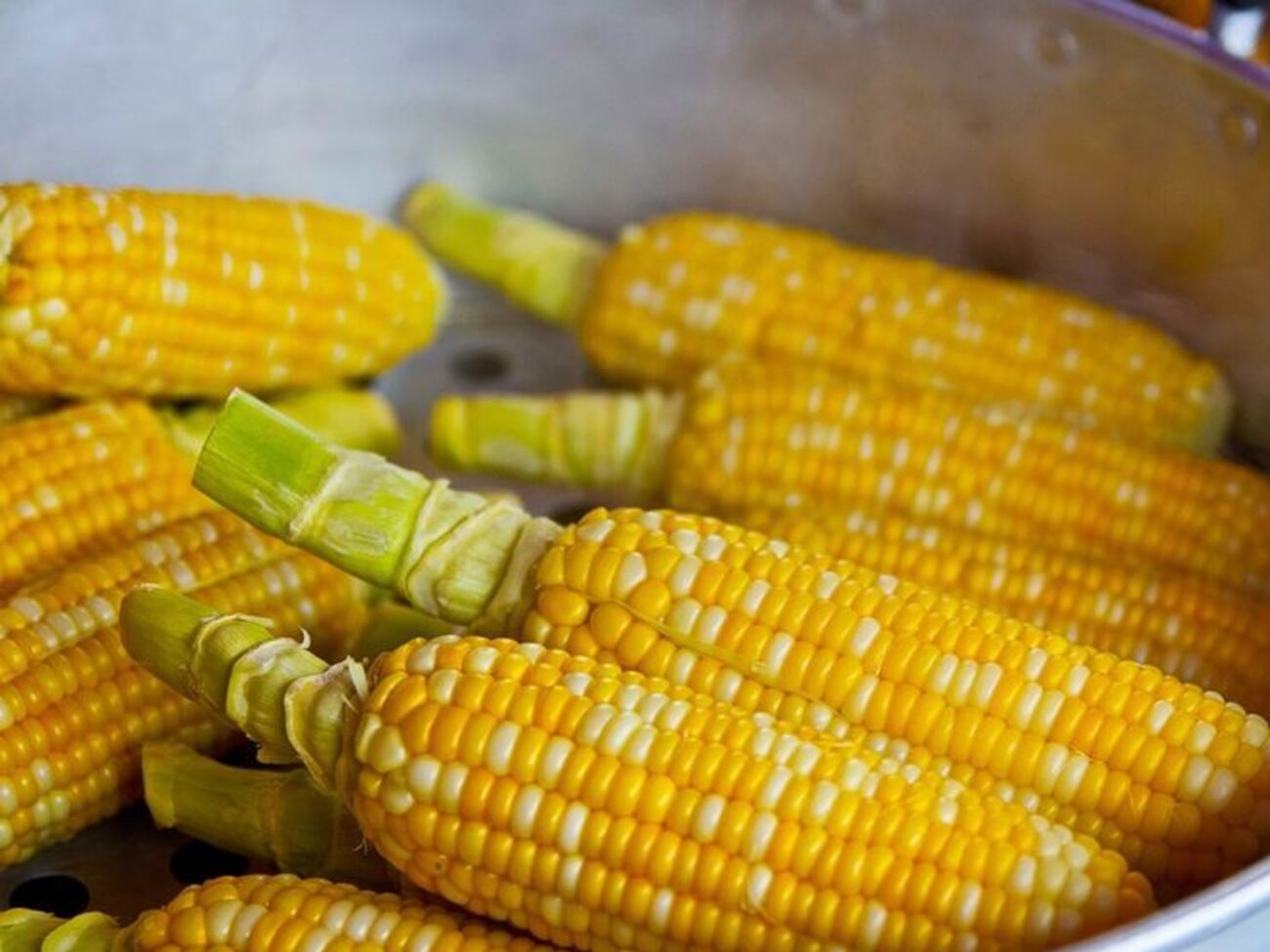 Кукурудза &ndash; рослина із древньою історією