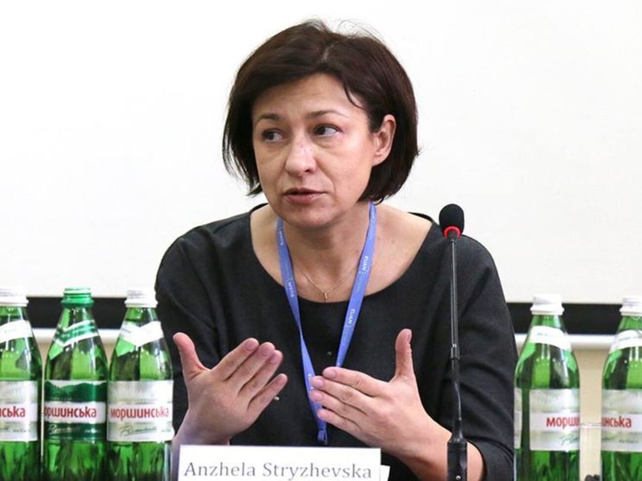 Стрижевська підкреслила, що досудовим розслідуванням буде займатися не прокуратура