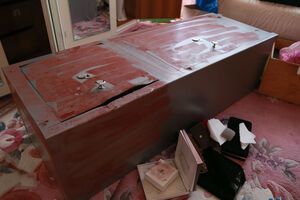 Неизвестные ограбили Франчука