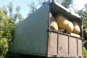 Водитель авто пытался наехать на пограничника