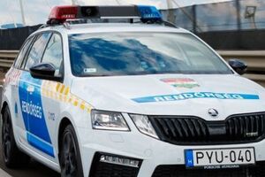 По предварительным данным полиции, микроавтобус с украинцами съехал с проезжей части и перевернулся