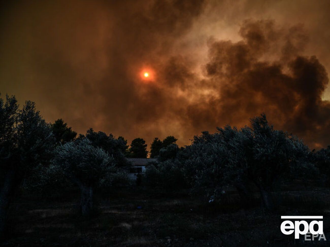 Жертвами пожаров стали уже почти 100 человек