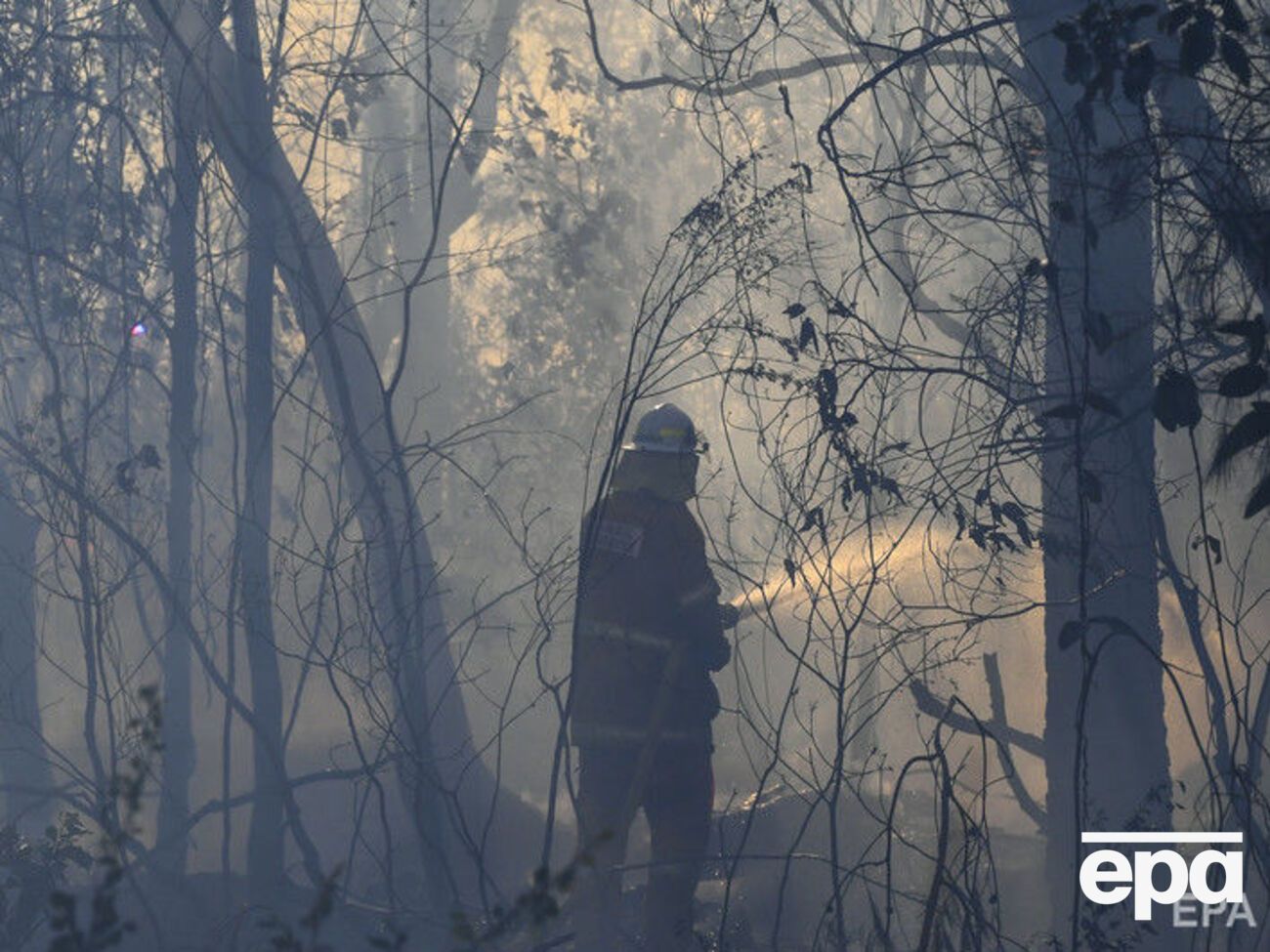 В начале августа Европу накрыла аномальная жара
