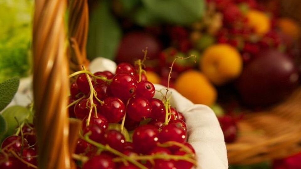 Ягоды не обязательно хранить замороженными