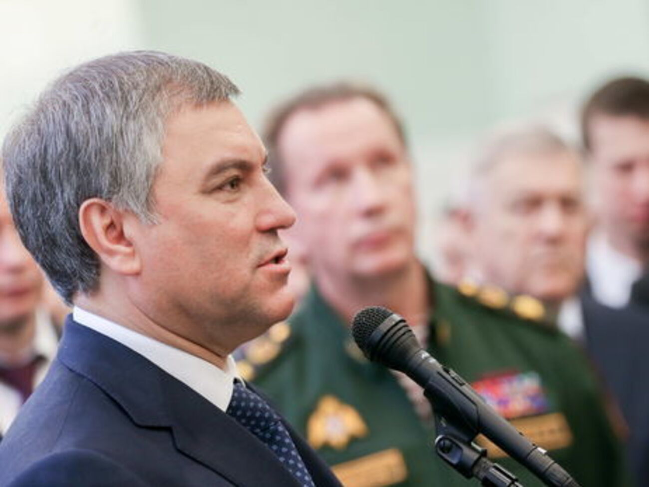 Мати Володіна, окрім нового холдингу, є співвласницею ще дев'яти фірм