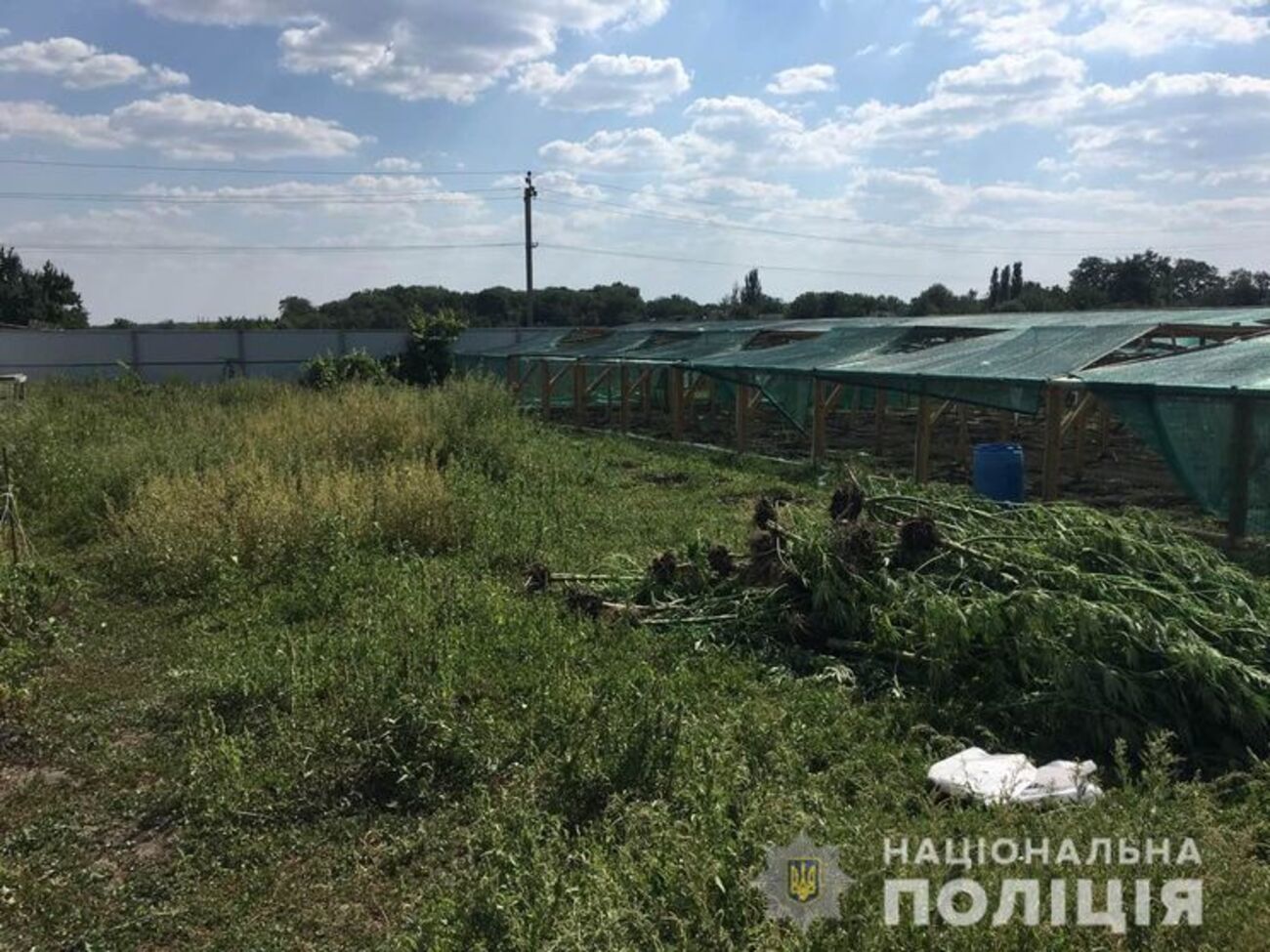 Хозяин участка&nbsp;соорудил две теплицы, обустроив их системой вентиляции и капельного полива