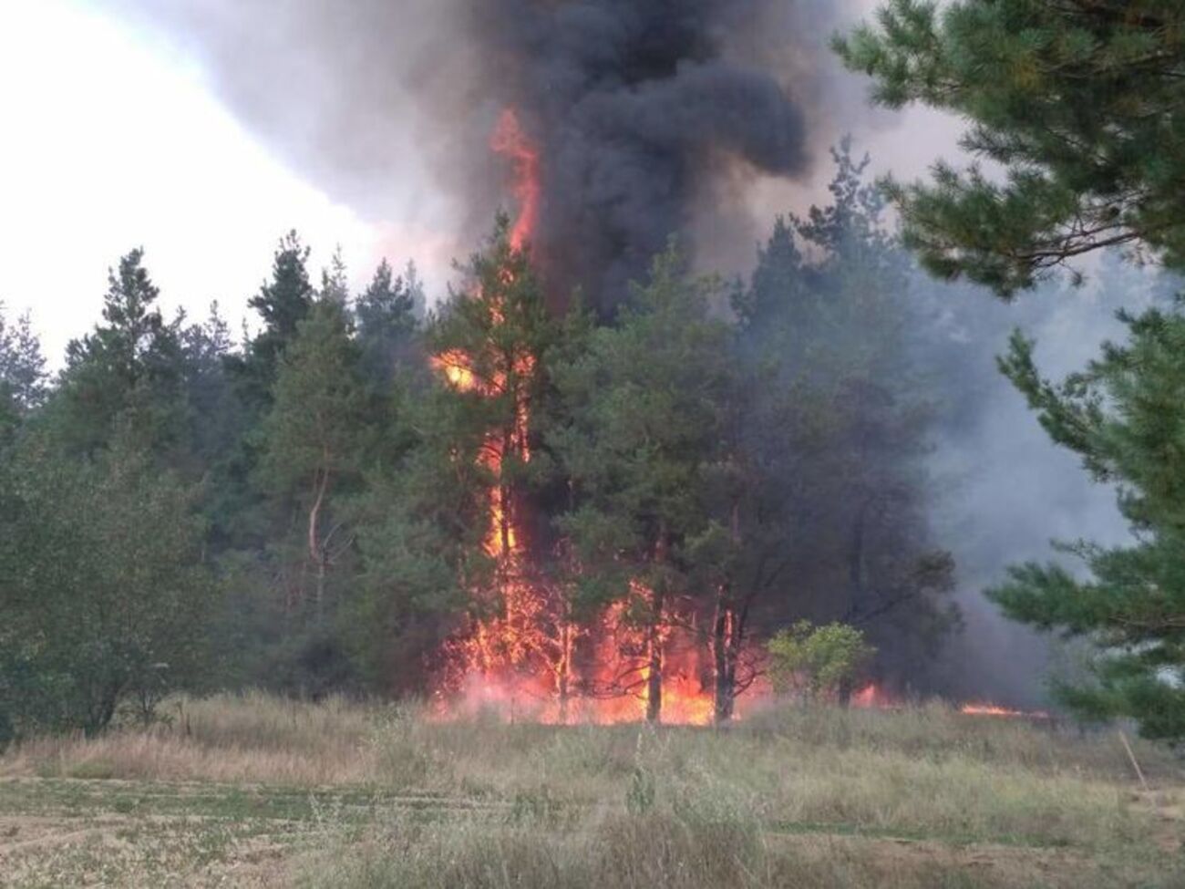 Пожежу гасять підручними засобами