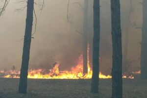 Площадь возгорания составила 3 га