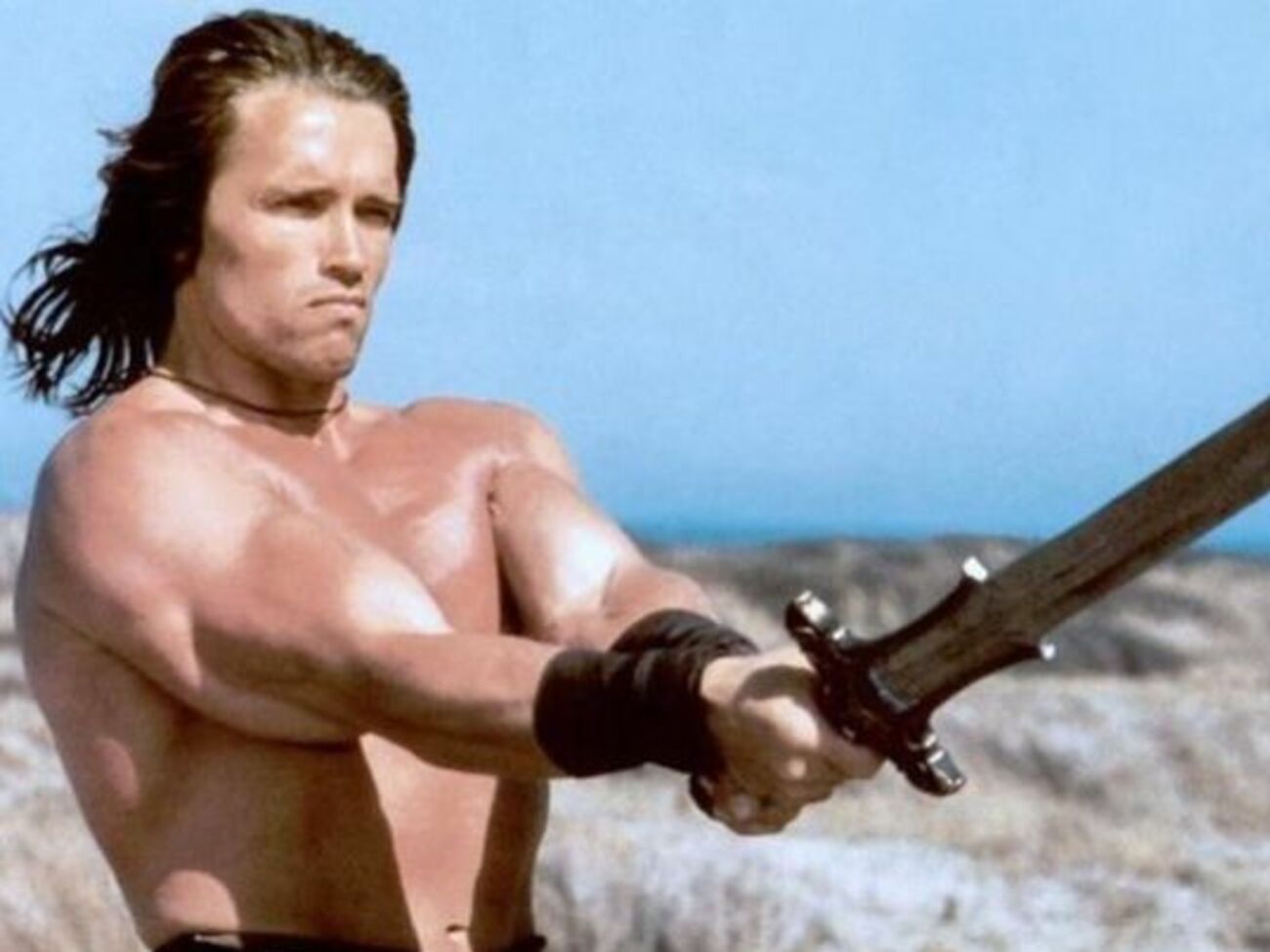 В Николаевской ОГА гордятся хайборийцем Конаном