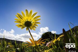 В Україні зберігається спекотна погода