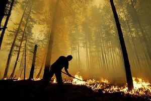 У суботу та неділю в Україні буде підвищена загроза пожеж