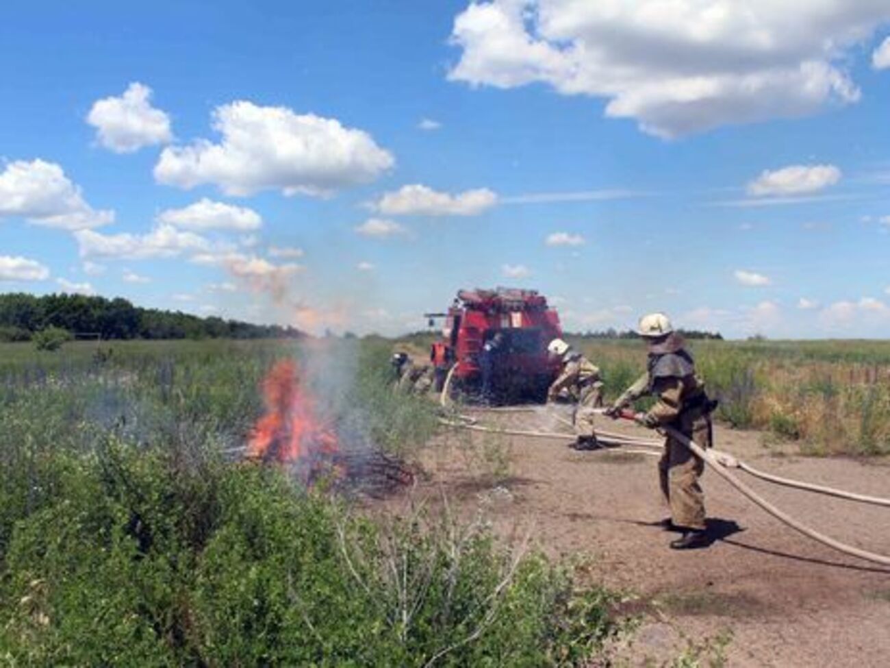 ДСНС попередила про пожежну небезпеку в Україні