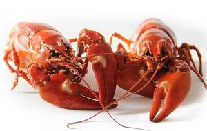 Членистоногих традиційно варять живцем