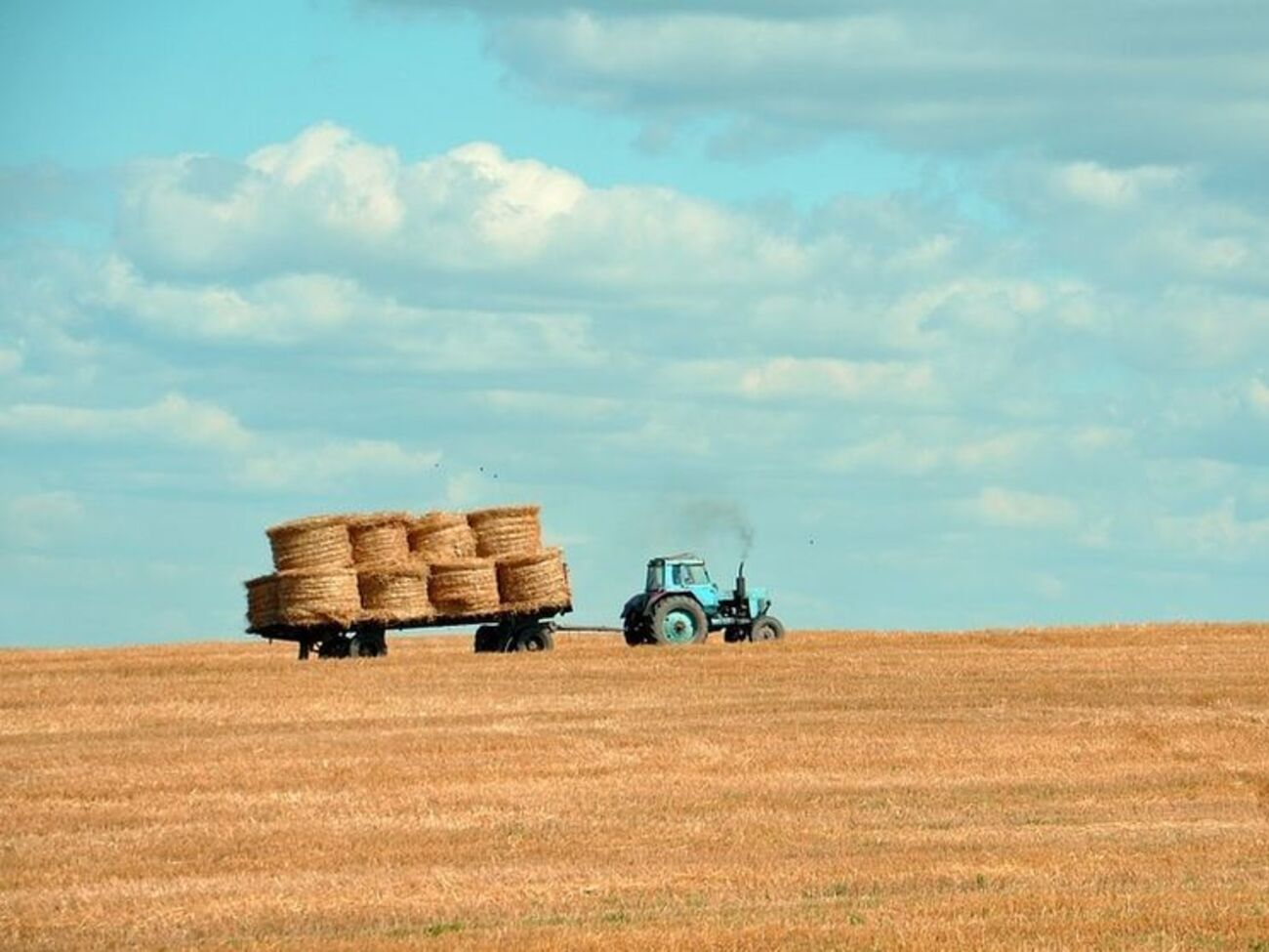 Збереження мораторію на продаж землі призведе до багатомільярдних втрат для України, прогнозують аналітики