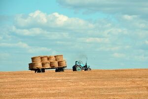 Збереження мораторію на продаж землі призведе до багатомільярдних втрат для України, прогнозують аналітики