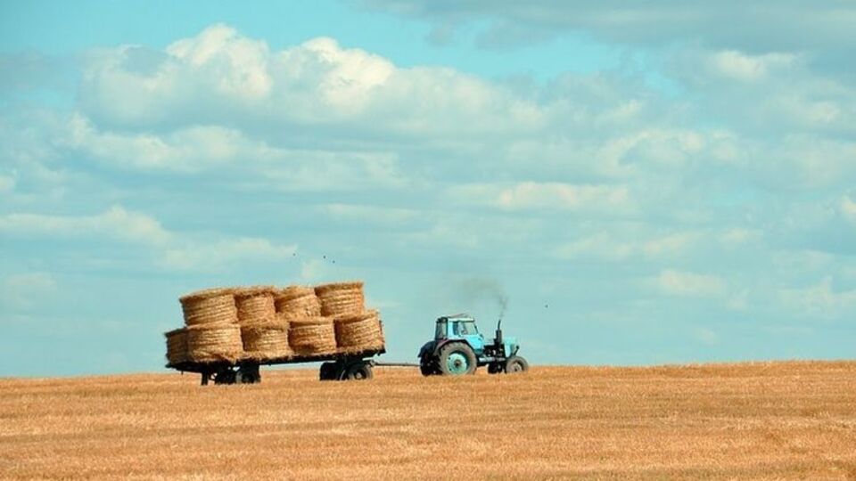 Сохранение моратория на продажу земли приведет к многомиллиардным потерям для Украины, прогнозируют аналитики