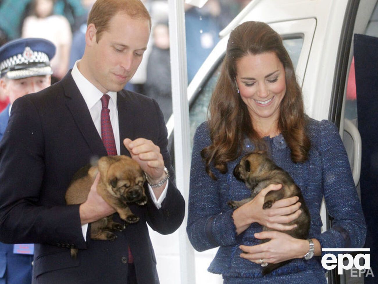 В Англии запретят продавать в зоомагазинах щенков и котят