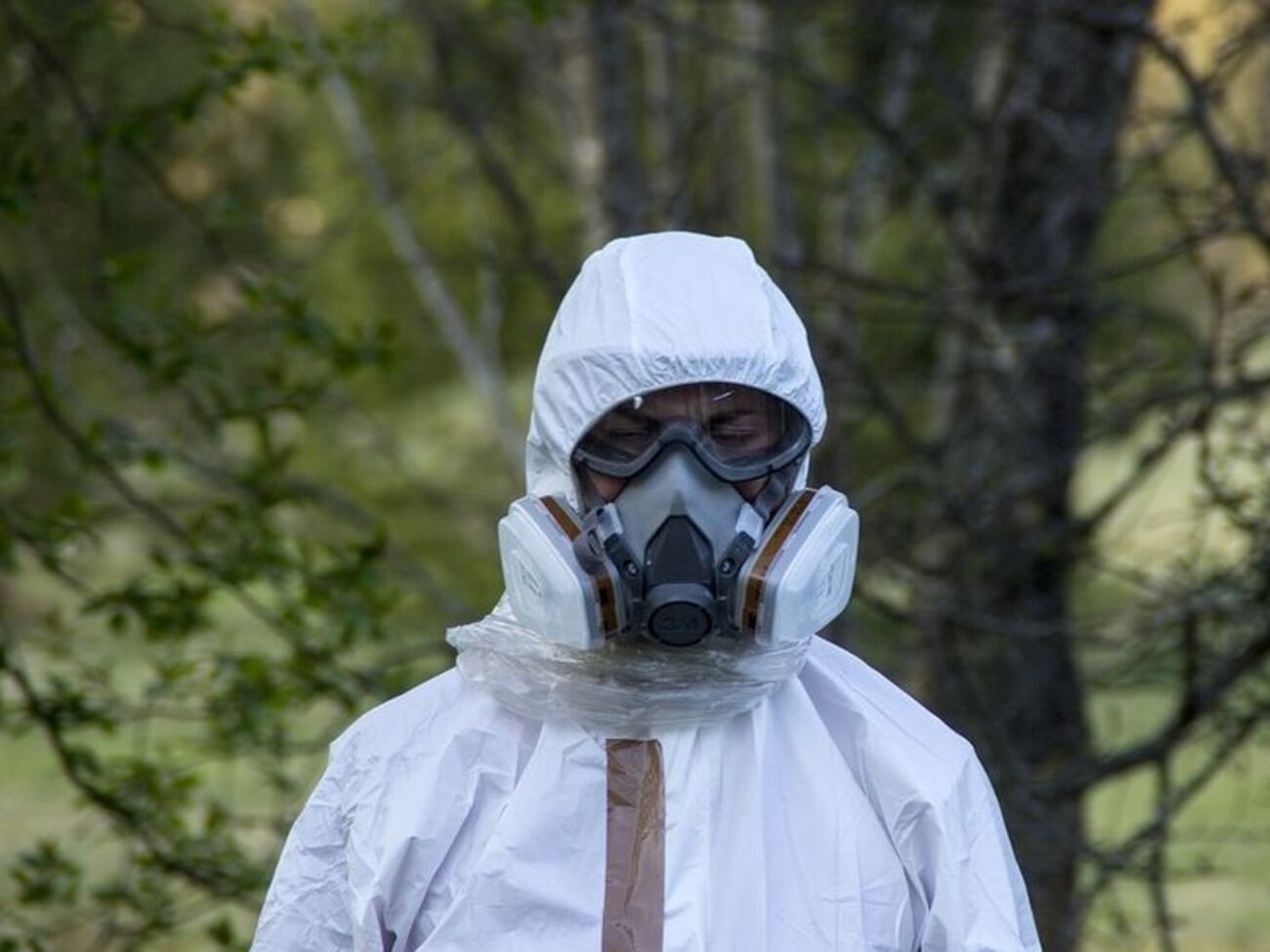 У Чилі стався викид небезпечних газів