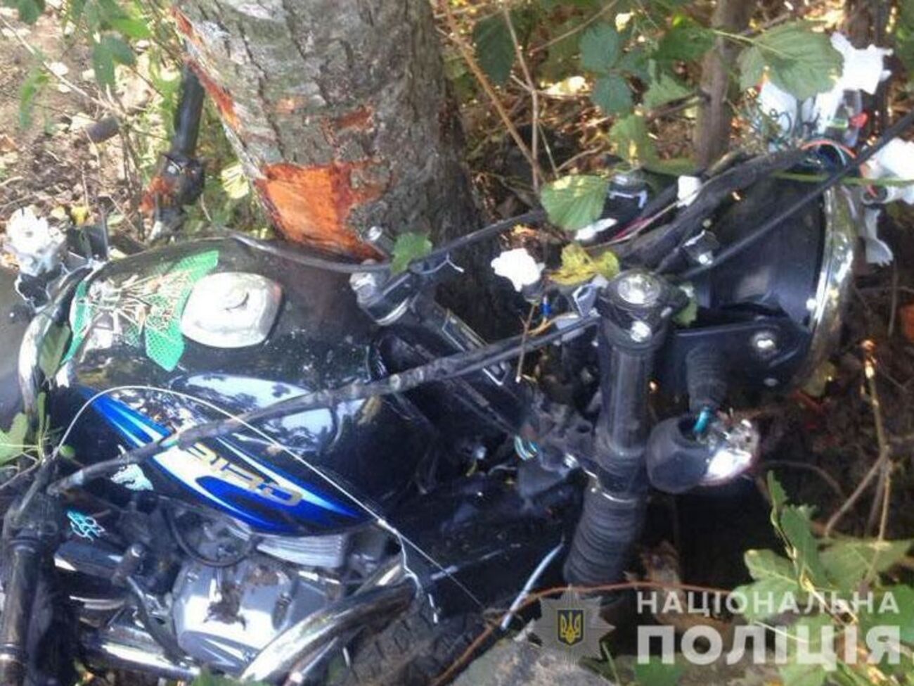 В результате ДТП водитель погиб на месте