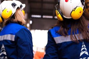 DEA принадлежала немецкой энергетической компании RWE до 2014 года, когда ее купила структура, созданная акционерами "Альфа-Групп"