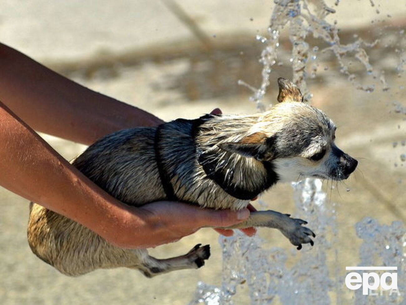 На выходных в Украине ожидается жаркая погода