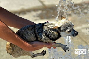 На выходных в Украине ожидается жаркая погода