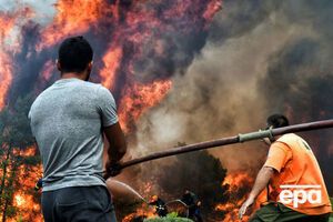 Масштабные лесные пожары в Греции начались 23 июля
