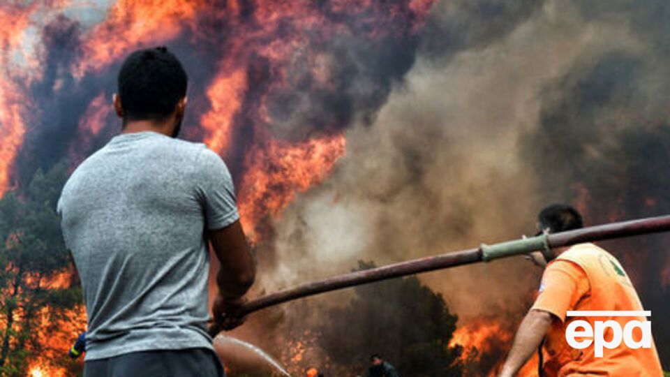 Масштабні лісові пожежі у Греції почалися 23 липня